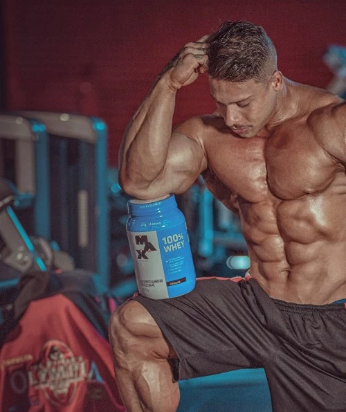 Descrição da Imagem